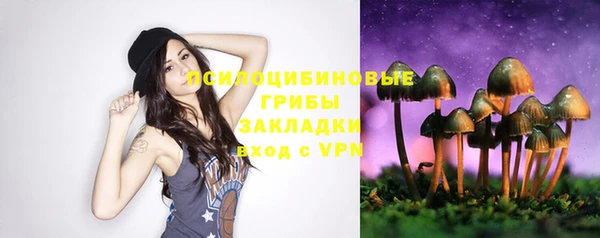 спайс Аркадак