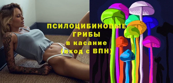 спайс Аркадак