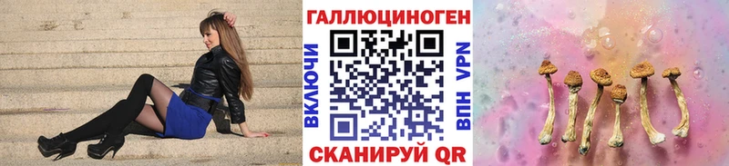 Псилоцибиновые грибы ЛСД  даркнет сайт  MEGA маркетплейс  Светогорск 